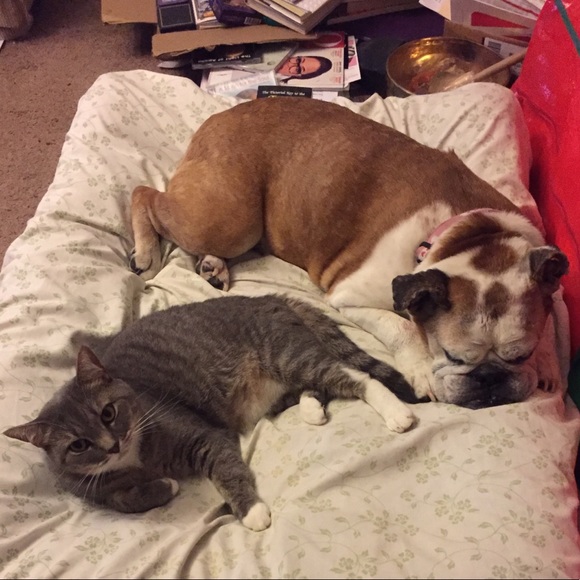 Meet your Posher, Kelley - Picture 1 of 1